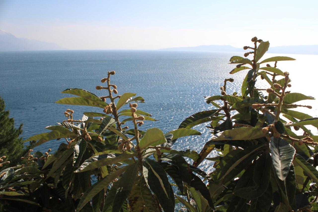 Apartments By The Sea Marusici, Omis - 8632 Mimice Luaran gambar